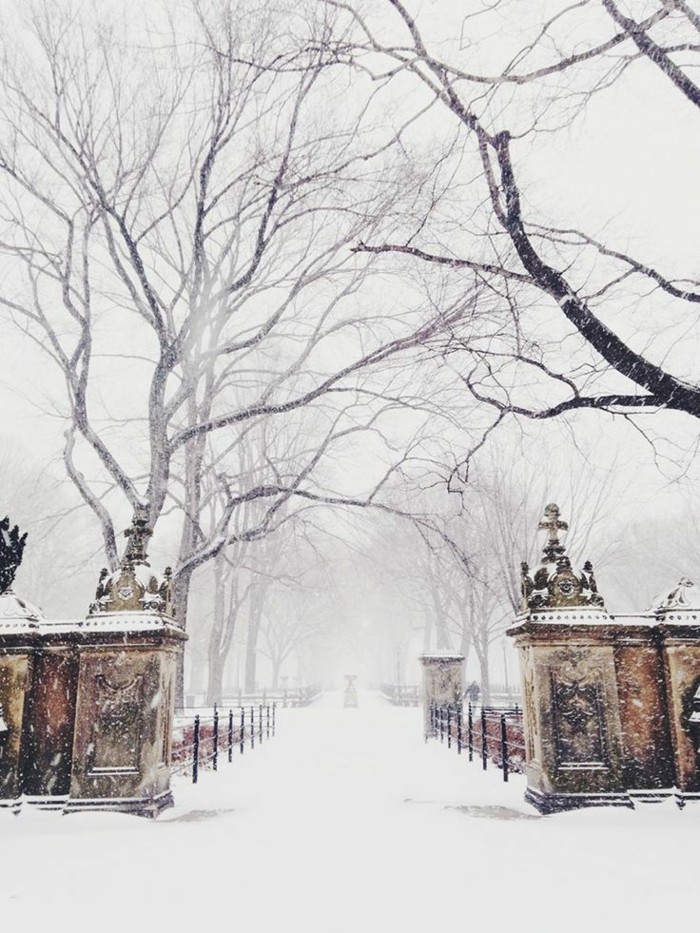 красив зимен имидж парк през зимата изцяло покрит-с-сняг