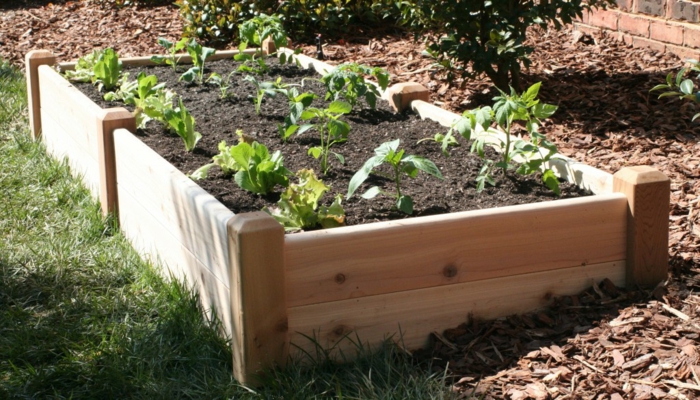 gyönyörű kert-design-cékla-create-modern kerti ötletek