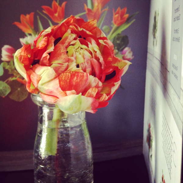 lijepa slika-francusko-tulipani