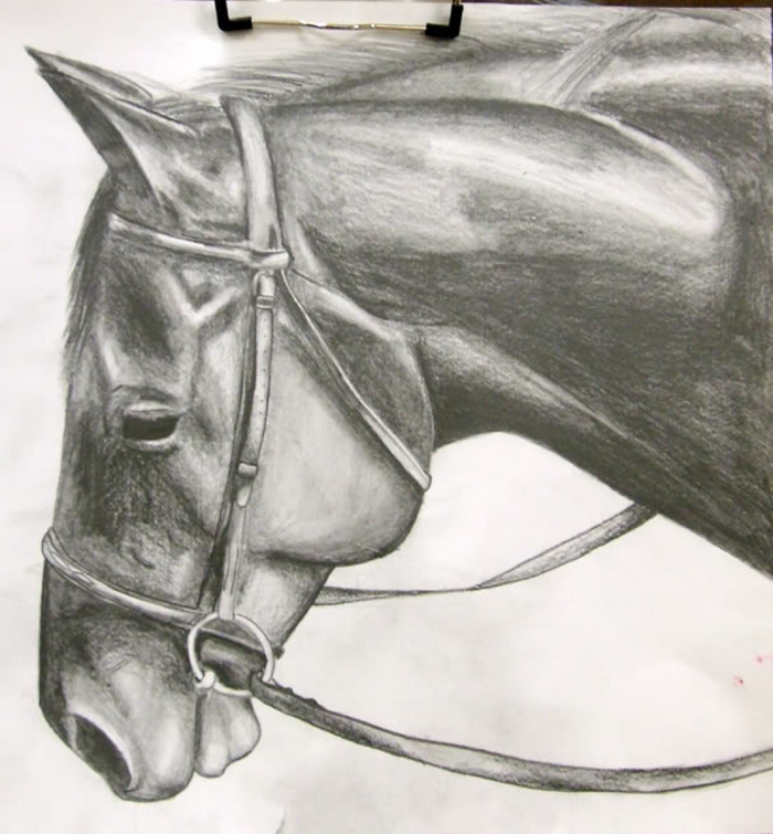 рисунки-с-молив-а-красив кон