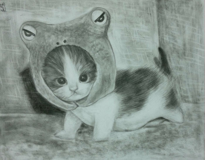 рисунки-с-молив-а-малко котка