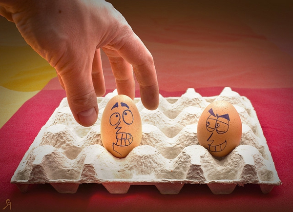 两个鸡蛋，mitgesichter式蛋纸箱搞笑画面