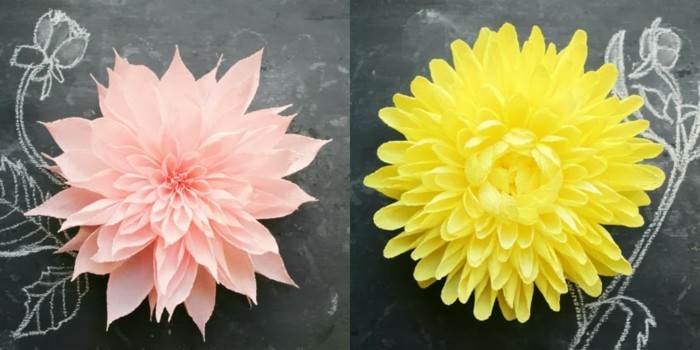 két szép-photos-két érdekes virágok-from-papír