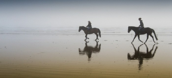 δύο όμορφα-άλογα--Silhouette-Unique-φωτογραφίες τους με